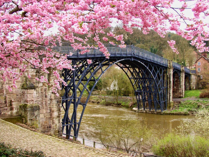 web design shropshire