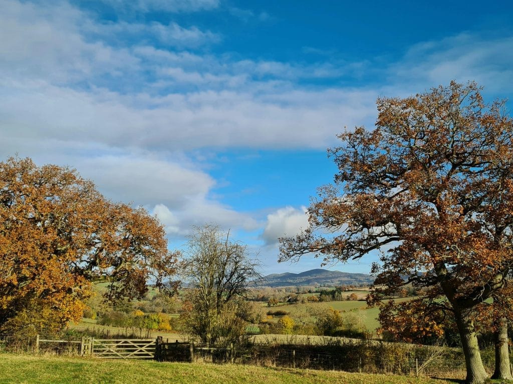 web design herefordshire